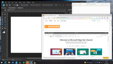 Affinity Designer with Edge on Linux and GNOME Text Editor on the latest Windows 10 build